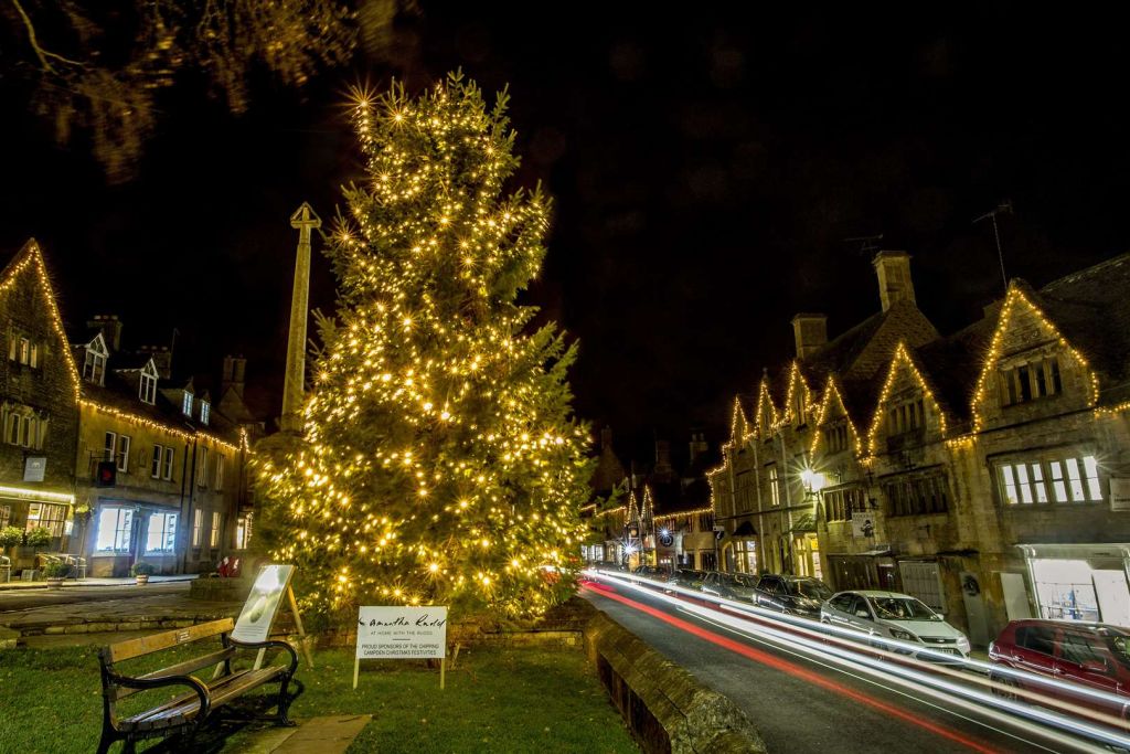 Tree of Light 2